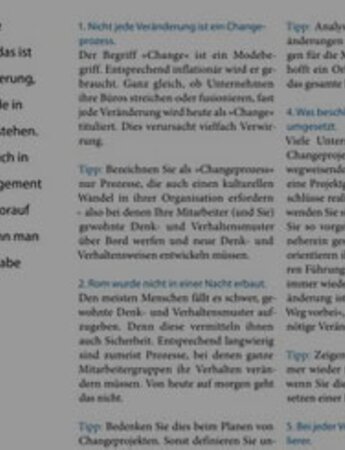 Zehn Maxime Change Projekt | Kraus & Partner - Transformation Experts