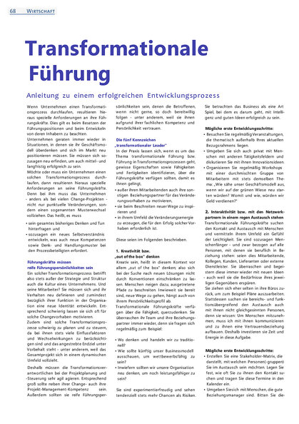 Artikel: entwicklungsprozess: Transformation; tranformational Führen, Beratung