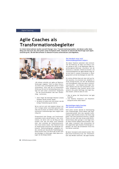 Agile Coaches: Tranformations Beratung