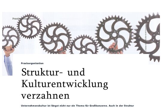 Cover: Struktur- und Kulturentwicklung verzahnen
