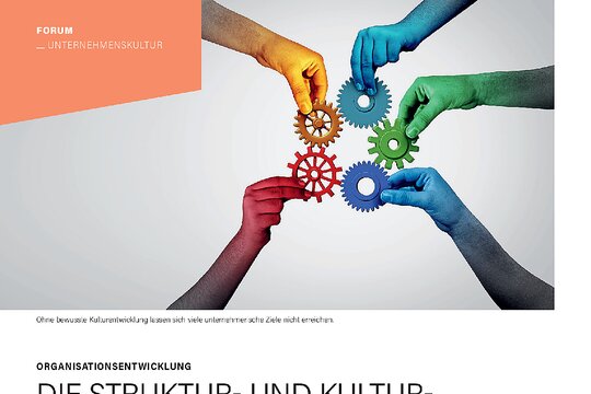 Cover PDF: Struktur Und Kultur Entwicklung